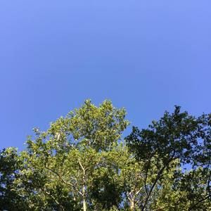 Meet your Posher, Wonji